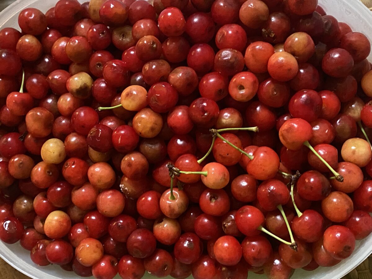 Cerises et sourires: une soirée de bonne conversation et de confiture!